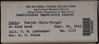 Image Associated With the Occurence